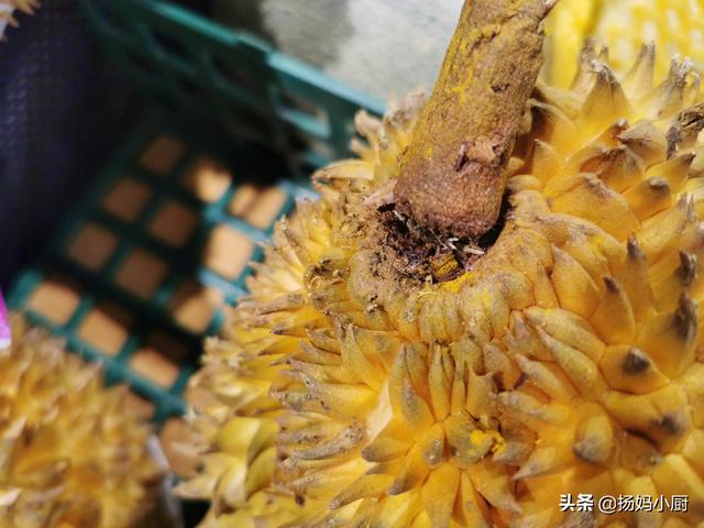 榴莲是软的还是硬的，榴莲种类哪种好吃（买到的榴莲肉多饱满）