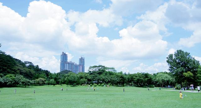 深圳有哪些旅游景点，深圳旅游景点（第1次到深圳不知去哪玩）