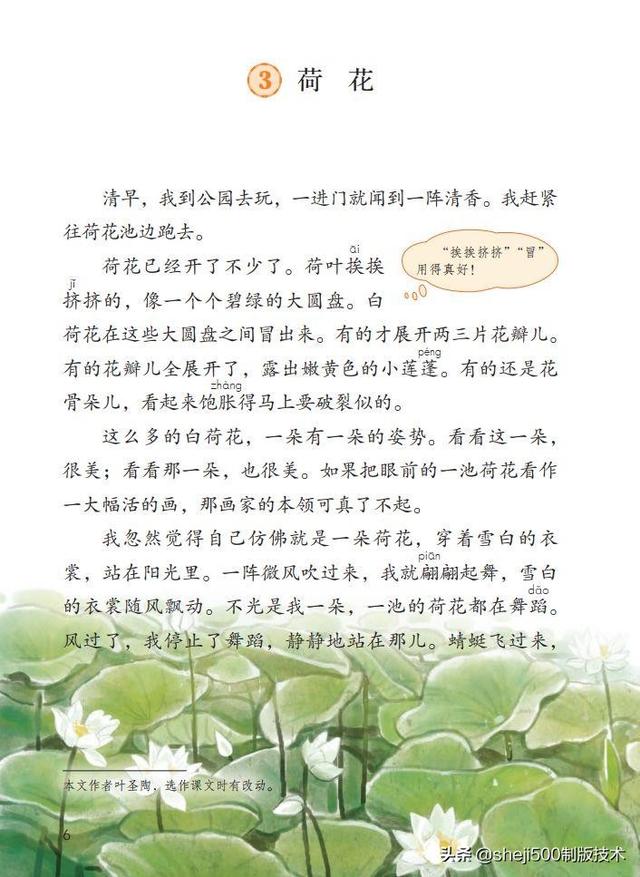 莲蓬的蓬是不是读轻声，莲蓬的蓬为什么读轻声（部编版语文三年级下册第3课《荷花》图文讲解）