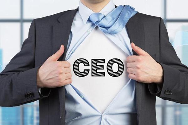 ceo和董事长，董事长和ceo的区别（一个高级打工仔）