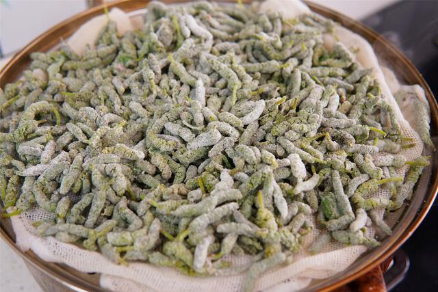 构树穗怎么吃，春天最“低调”的野菜（构树穗怎么吃法视频）