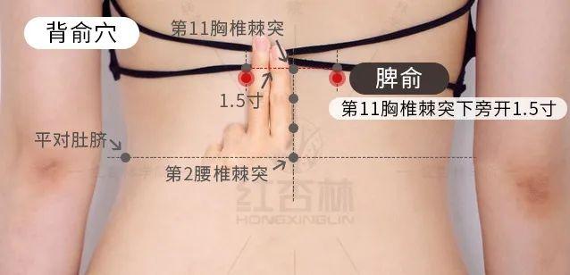 2020庚子年各日柱运势 有何说法，2020庚子年各日柱运势（庚子年五运六气里总结了这些答案）