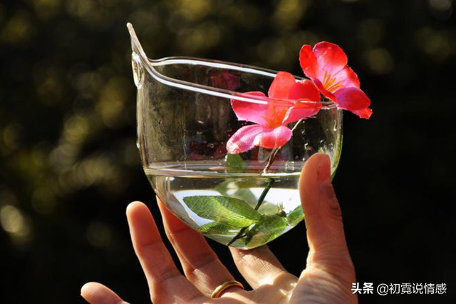 先苦后甜的鼓励句子，熬过最苦的日子的精美短句（做人，要学会先苦后甜）