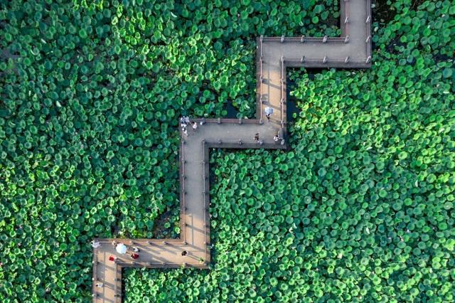 李白写的古诗有哪一些，李白写的古诗有哪一些诗（李白笔下的夏日）