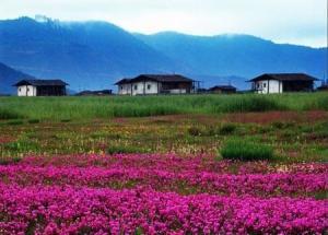 香格里拉海拔高度，香格里拉海拔高度多少米（中国“香格里拉”概述）