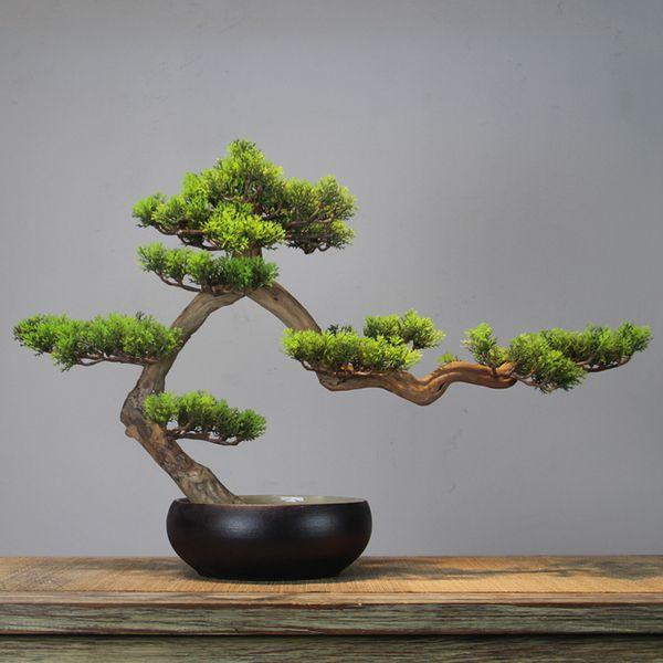 迎客松的寓意是什么，门口迎客松的寓意是什么（不知道给老人送什么礼物）