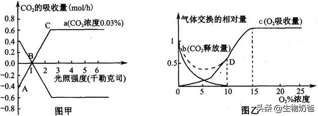 光照强度计算公式，照度的定义是什么（细说光照强度对光合速率的影响）