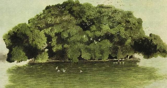 小狗画梅花小猫画什么，小狗画梅花,还有什么画什么（曾经的小学语文插图你还记得几张）