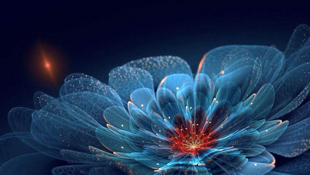 分形艺术照的特点，艺术照分什么风格（分形艺术插图，美！）