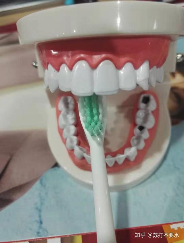 电动牙刷是放进去就可以了么，电动牙刷只要放在牙上就可以了吗（电动牙刷只要放到嘴里）