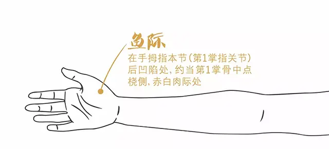 天突的准确位置图片作用，天突穴穴位位置图及作用（还能消痰养肺）