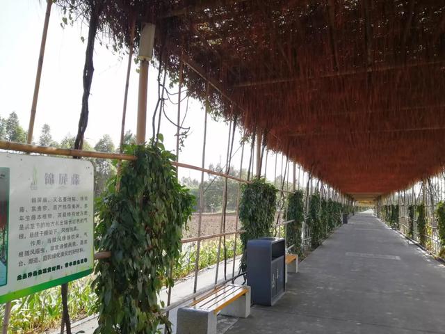 番禺有什么好玩的地方，番禺有什么好玩的（广州番禺旅游攻略<C篇>）