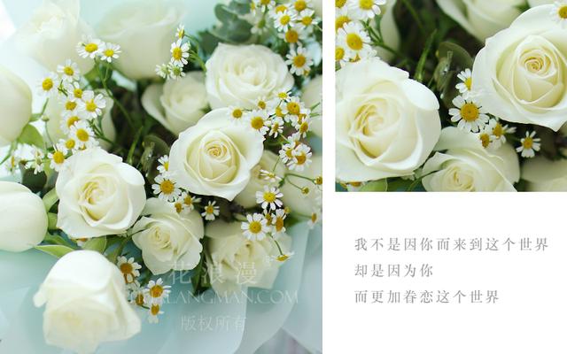 白玫瑰代表什么意思，白玫瑰的花语是什么意思（你知道白玫瑰适合什么场合送吗）