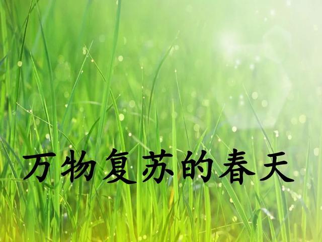 四季有什么特点，北方的四季有什么特点（部编版一年级上册第4课《四季》图文讲解）