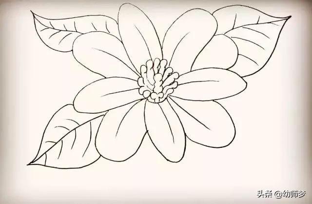 如何画花朵简笔画，如何画花朵简笔画图片（教你超简单的花朵简笔画）