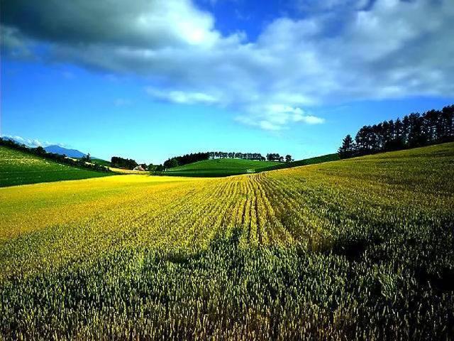 四季有什么特点，北方的四季有什么特点（部编版一年级上册第4课《四季》图文讲解）