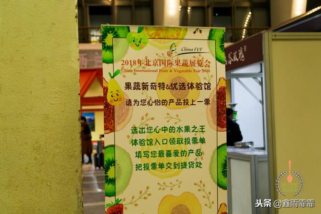 菊苣怎么读是什么意思，菊苣怎么读（这百种水果不要说吃过）