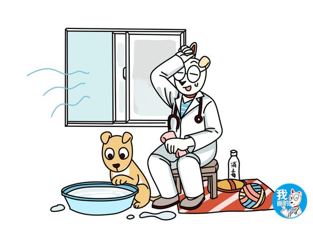 犬细小病毒的症状，犬细小病毒病症状有哪些（铲屎官应及时带狗狗就医）