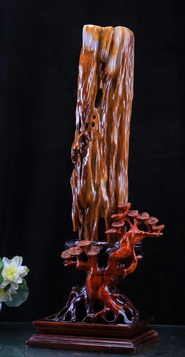 树化石值钱吗,树叶化石值多少钱(一块树化玉标价10亿)