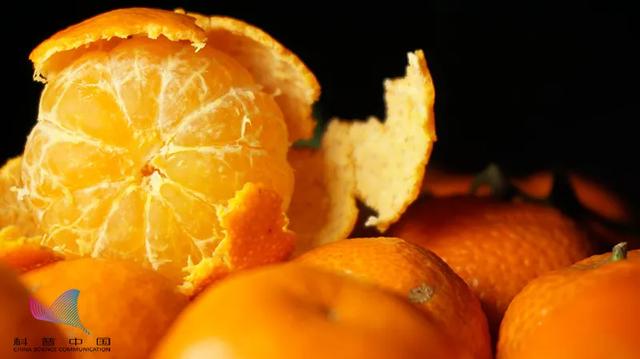 柑橘香味是什么味道,柑橘色的香味(大量吃橘子会变成\ 柑橘香味是什么味道,柑橘色的香味(大量吃橘子会变成\