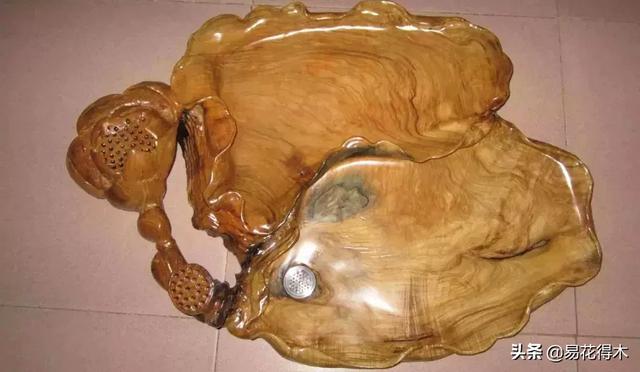 关于坡垒介绍，水坡垒和油坡垒有什么区别（国家一级濒危珍稀植物：坡垒）