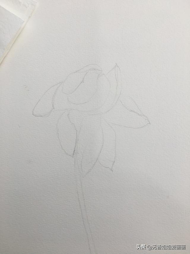 荷花怎么画画的又简单又漂亮，如何画完全盛开的荷花（用水彩也能画有实感的荷花）