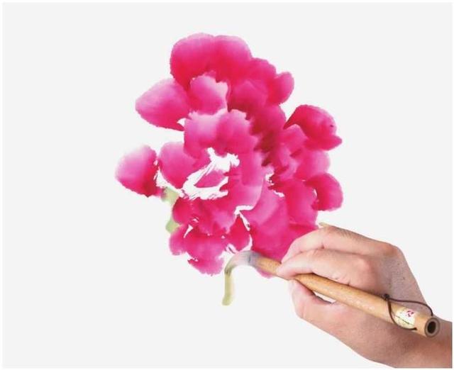 牡丹花简笔画简单又好看，简笔画画牡丹花（适合零基础绘画者学习）