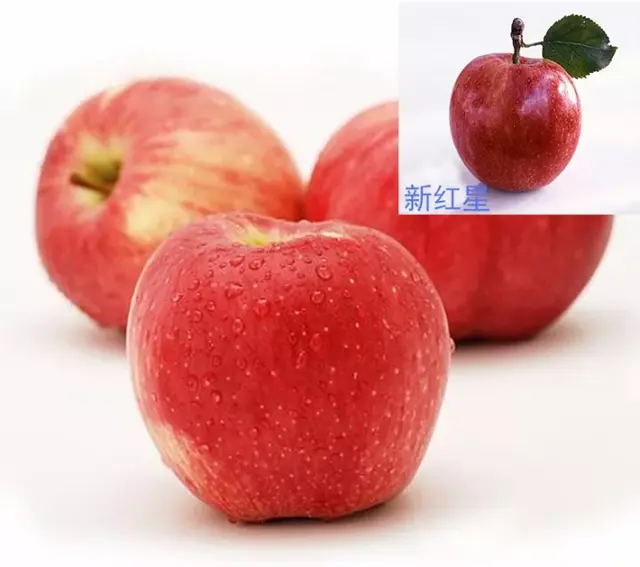 秦冠苹果有什么特点，秦冠苹果的特点（竟不知道它有这么多的品种）