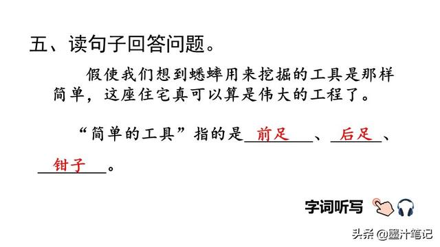 蟋蟀的住宅指的是什么，蟋蟀的住宅 是指什么（第三单元《蟋蟀的住宅》课文讲析）