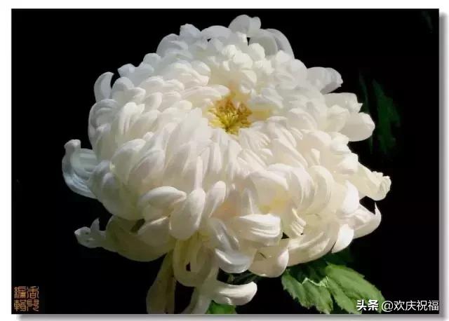 朋友亲人过世安慰语句，送给天堂的亲人~