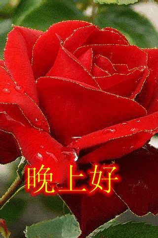 结束一天的疲惫幽默句子，下班结束一天的疲惫幽默句子（一天已结束）