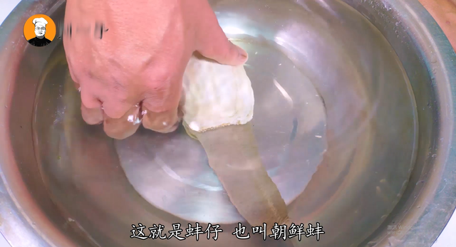 象拔蚌生吃做法，朝鲜象拔蚌刺身这么做
