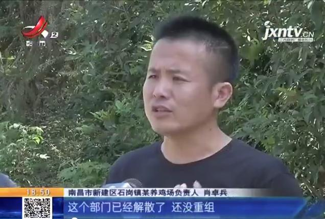 养鸡场投资多少钱，养1000只鸡需投资多少（男子投资200万元的养鸡场）