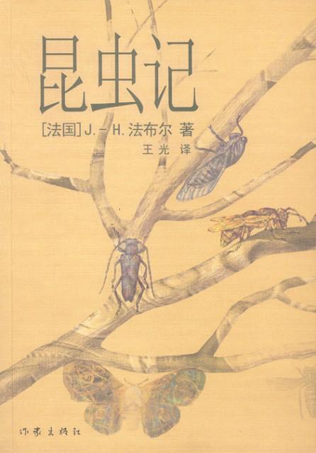 地心引力线，地心引力线到底准不准（啥是“光学悬链线”）