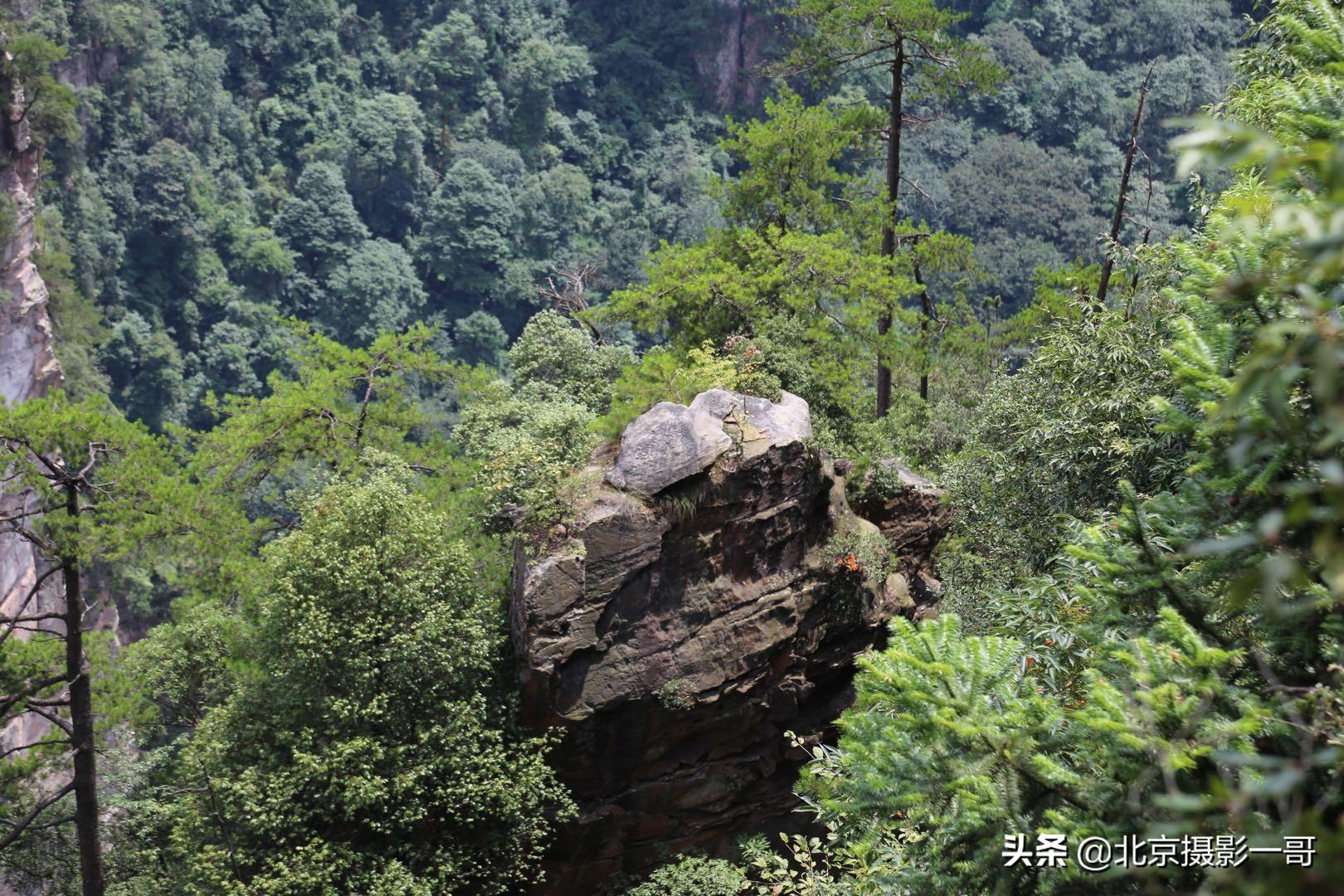 富兰特（一哥亲子游之张家界森林公园和天门山自由行三日游）