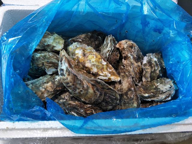 生蚝的做法蒸几分钟，生蚝的做法蒸几分钟海螺可以吃（冷水下锅还是热水下锅）