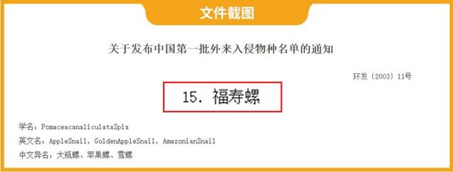 田螺吃哪个部位示范图，田螺的吃法吃那个部位（可能会感染中枢神经）