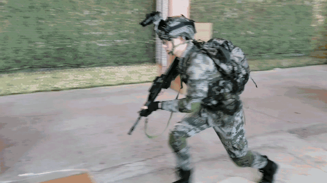 特警和武警有什么区别，武警和特警的区别有什么（特警比特种兵更专业）
