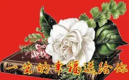 祝福家庭幸福的话，祝家庭幸福美满的句子（愿收到祝福的每个人）