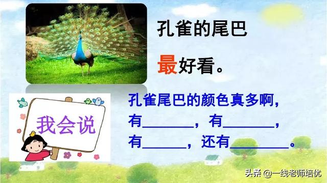 带有提手旁的字大多与什么有关，提手旁的字有哪些（部编版小学语文一年级上册第6课《比尾巴》重点知识+图文解读）