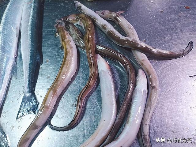 鱼杀了放冷冻还是冷藏，鱼放冷藏室还是冷冻室啊（卖鱼人三十年的老经验8个方法）