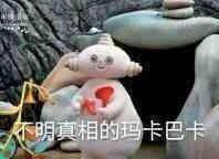 花园宝宝晚安台词，花园宝宝晚安台词歌曲完整版（花园宝宝表情包）