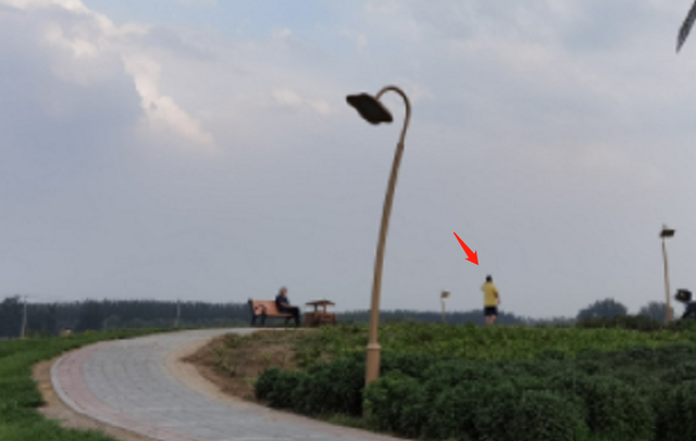 我不管我不管你就是谁都无法替代，我不管我不管你就是谁都无法替代是什么歌（晒月亮姐姐爱心图片引误会）