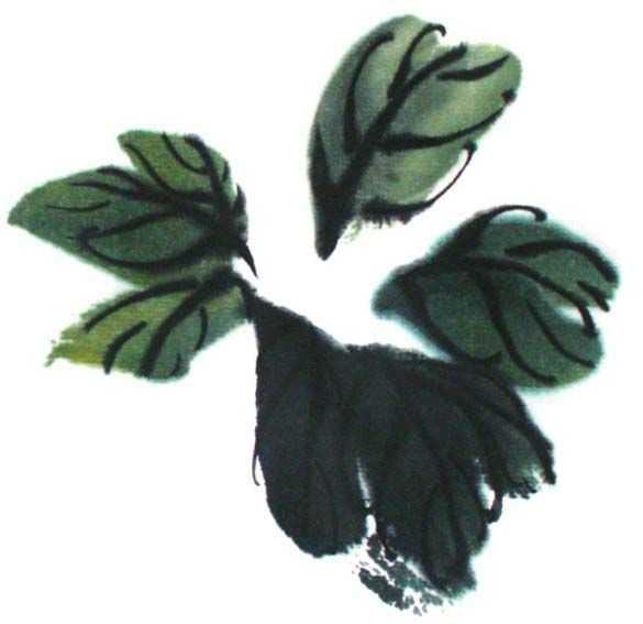 简易叶子画法，简易叶子画法图片（分步骤讲解老叶画法）