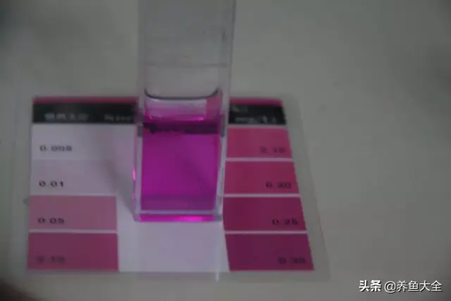 鹦鹉鱼死前征兆，红鹦鹉鱼会不会撑死（让观赏鱼死亡的水中杀手）