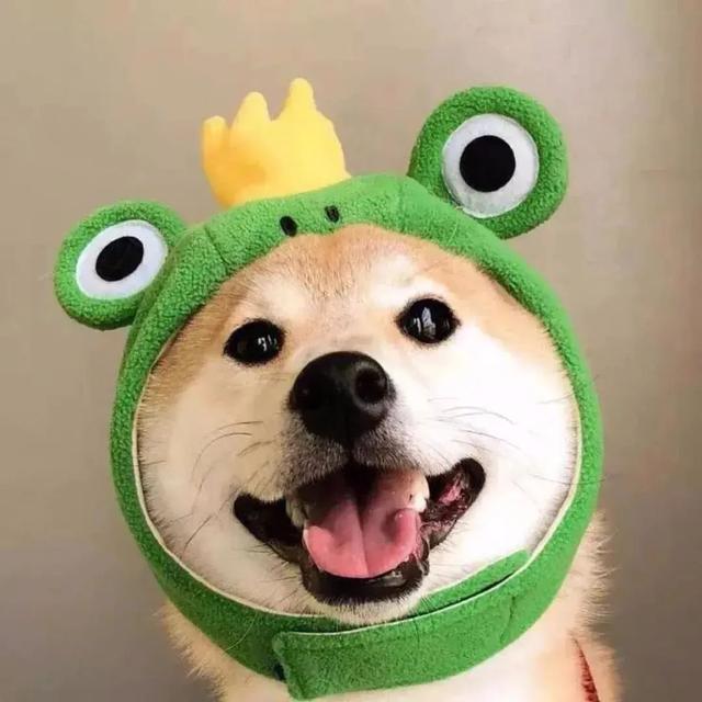 ins古怪风，微信头像，ins古怪风（奇怪的头像又增加啦）