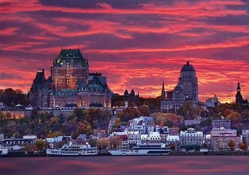 海狸是哪个国家的国宝，海狸是哪个国家的国宝的寿命（在加拿大寻找身价过亿美元的动物）