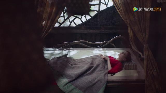 息泽就是东华吗，三生三世枕上书小说中在阿兰若之梦中凤九是否知道（剧情67,阿兰若版本小白几乎接不住）