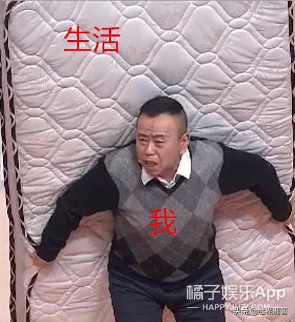 plgg什么意思，piggy什么意思（承包你新年一天所有的笑点）