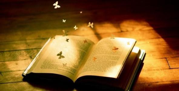 本科是什么意思，统招本科是什么意思（本科中的“本”是啥意思）